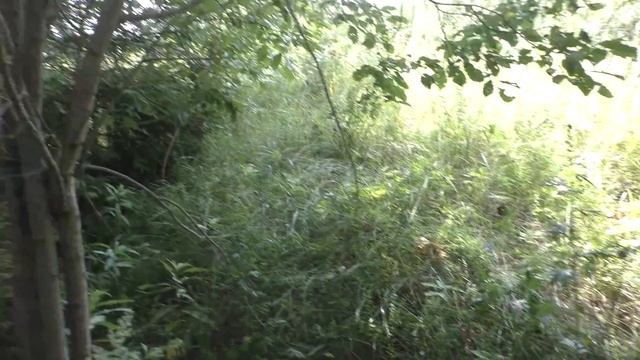 Деревня Крутец, нашёл древний ствол, исчезнувшее селение. смотреть онлайн