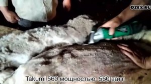 Машинка для стрижки овец Такуми 560 - работа в  Калмыкии