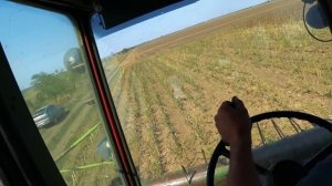 Уборка подсолнуха 2019! Итог по листовой подкормке.