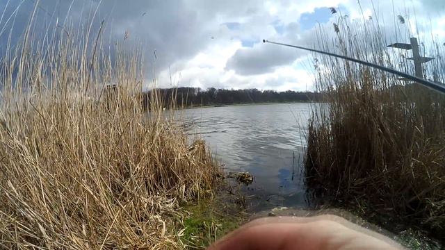 Риболовля на боковий КИВОК! Пройшовся з кивком по р. Устя та Басів Куті. смотреть онлайн