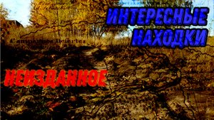 Коп монет! ИСТОРИЯ под ногами!