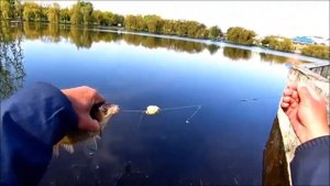 Снасть на которую можно спокойно ловить до нереста , во время нереста и весь сезон .