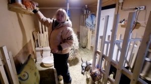 Вводим козам эпримек| Глистогоним стадо.