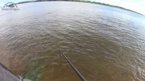 ОМАРОВИРУС!!! ЛОВЛЯ КРУПНОГО ЛЕЩА НА ФИДЕР/ Ночной судак на воблеры. Kamfish