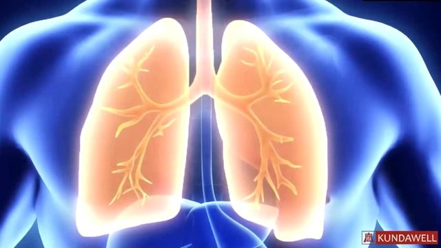 ✿Xu•Mingtang—18.04.2020—Lung Treatment Session—00.34.03