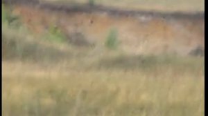 Топки. Липецкая область.