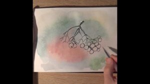 Акварельный скетчинг для начинающих. Ветка рябины акварелью