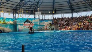 Дельфинарий, Сочи парк