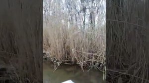 Рыбалка на водохранилище в Солнечнодольске