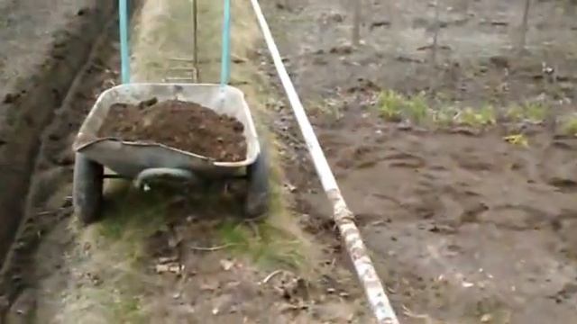 Сергей Котляров-как мы готовим почву под высев или посадку огурцов смотреть онлайн