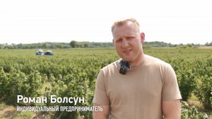 ИП Болсун Роман Игоревич - смородина