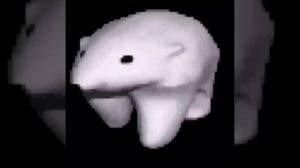 Polar bear walking to funky town