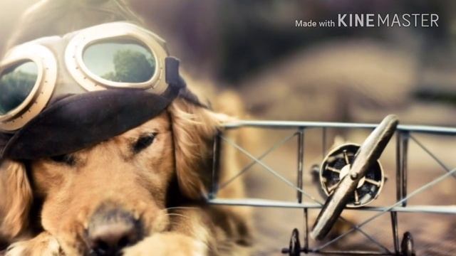 ЁМАЁ МАМА ЗВОНИТ смотреть онлайн