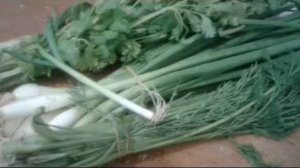 Вешенки в сметанном соусе!Очень вкусно