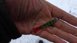 Шёл Шестой День Рыбалки Охоты на Щуку Балансирами-Щука Окунь Лещ Плотва Карась