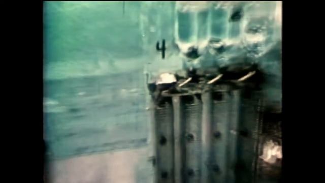 Эксперимент "Вселенная 25" Мышинный рай