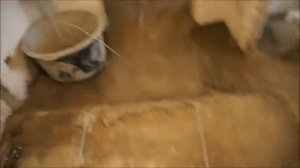 Стяжка пола по маякам