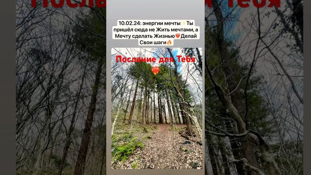 #ченнелинг #посланиедня #жизнь #мечты #❤️🔥