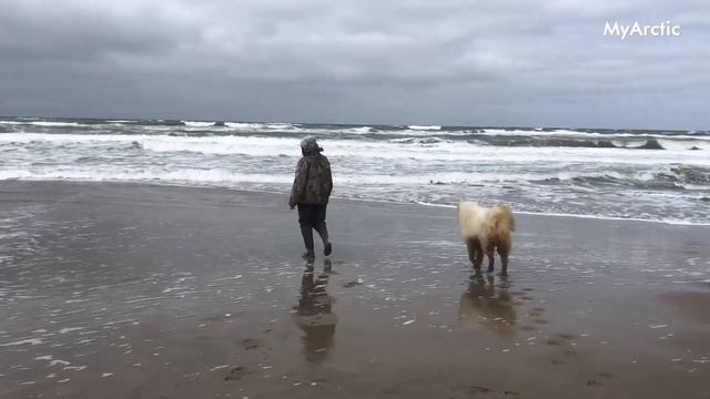 Бродяги Тимана смотреть онлайн