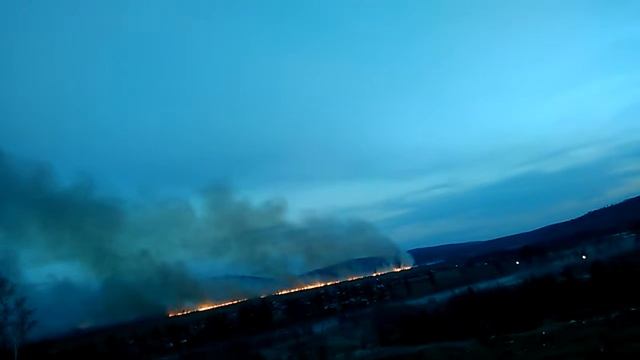 В этом году точно не будет ягод и грибов. смотреть онлайн