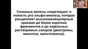 Основы наук о жизни. Факультет наук о материалах МГУ. Лекция 18.11.2021. Пищеварение и всасывание.