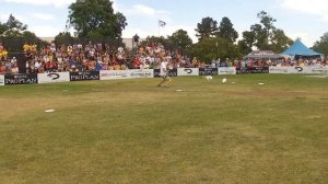 Jack Russell Dances at Pro Plan Incredible Dog Challenge Denver