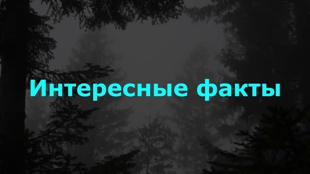 Смертельная ночь в заброшенном музее: сторожка оживает, превращаясь в ловушку для группы подростков. смотреть онлайн