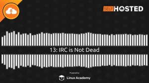 IRC is Not Dead | Self-Hosted 13