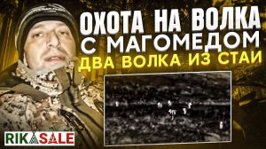 Разбил стаю волков. Выстрелы по волкам с тепловизором. Охота на волков  в Дагестане.