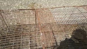 В ЛОВУШКУ НА ЛИСУ ПОПАЛ ЗАЯЦ!!!