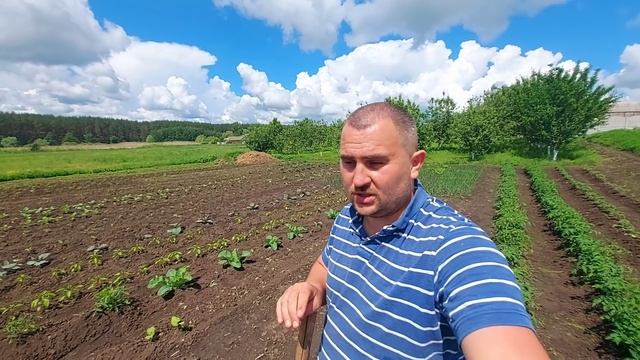 органическое земледелие! каким гербицидом пользуюсь?
