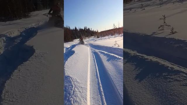 Arctic cat bearcat z1 xt по глубокому снегу смотреть онлайн