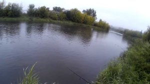 Короткая рыбалка на спиннинг в Двуреченске 16.08.2020г.