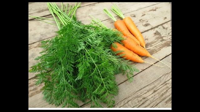 Ботва моркови- что с ней делать?
