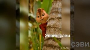 Элвин и бурундуки поют до встречи на танцполе