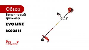Бензиновый триммер Evoline BCG25ES