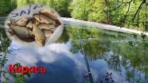 Рыбалка в Самаре. Карась. Поклёвки крупным планом!