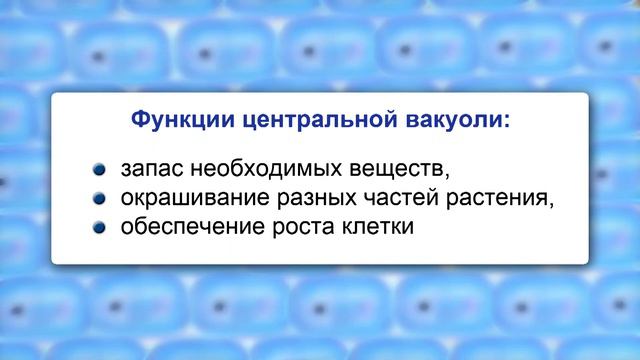 solovyev 30 07 2013 u1 смотреть онлайн