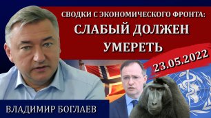 Сводки (23.05.2022): опять Мединский, наезд на Норвегию, обезьянья оспа в Европе / Владимир Боглаев