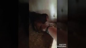 Куры Синь синь дянь