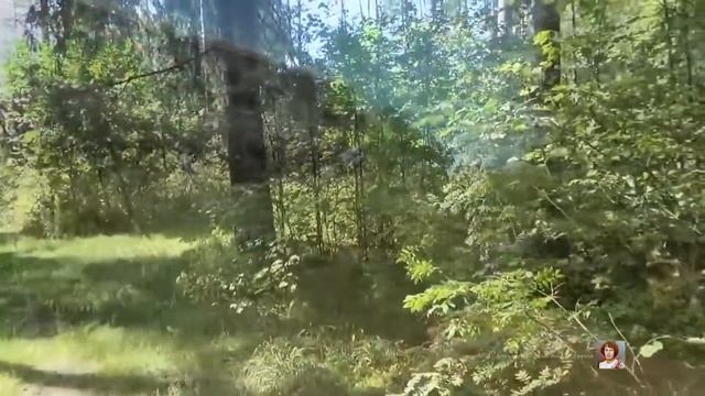 "ПОМОГИ, СТАРИНА, ПОСОВЕТУЙ" - ЛАНЦБЕРГ ВЛАДИМИР смотреть онлайн