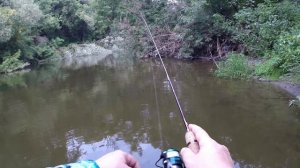 С блеснами по Пахре ! Щука на микро блесну !