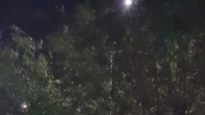 ЗВУК ДОЖДЯ ЗВУК ДОЖДЯ ДЛЯ СНА 😴 🔥 Rain sounds for sleeping ❤ #relaxingmusic #звукдождя