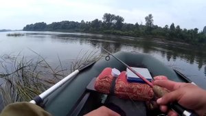 Рыбалка на ЩУКУ на реке Чулым