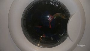 LG WD-80490S: Деликатная 40 (полная загрузка)