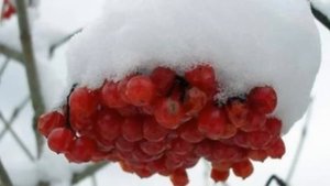 Самый лучший клип   "Калина красная.avi"