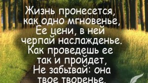 Аллея жизни.mp4