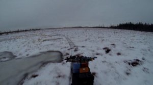 мотособака на болоте
