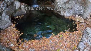 캠프라인 등산화 치명적 단점?(마나슬루) 리뷰, 용문산4 산행평가 한국산【17】 Campline Manaslu hiking boots review Yongmunsan review