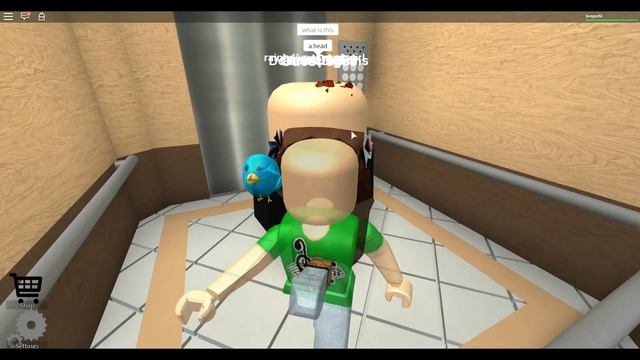 ROBLOX | The Normal Elevator | SallyGreenGamer | DollasticPlays смотреть онлайн